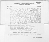Puccinia graminis image